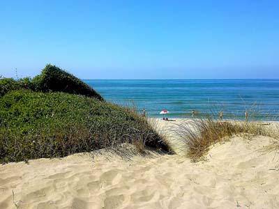 CasaPound si oppone ai sequestri con i gestori delle spiagge di Castel Porziano