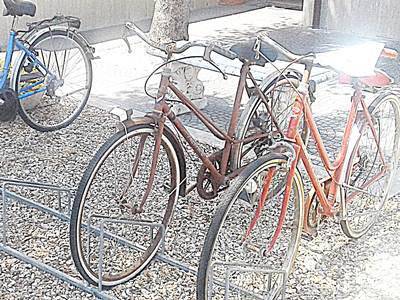 Ladri di biciclette. A Fregene tornano i furti anni ‘50