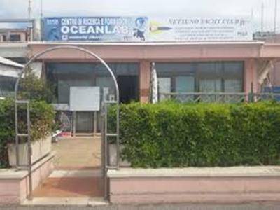 Nettuno, apre il primo "Centro di formazione e ricerca sui mammiferi marini" del Lazio