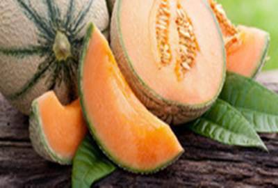 Pescia Romana rinnova la tradizione con la 29esima Sagra del Melone