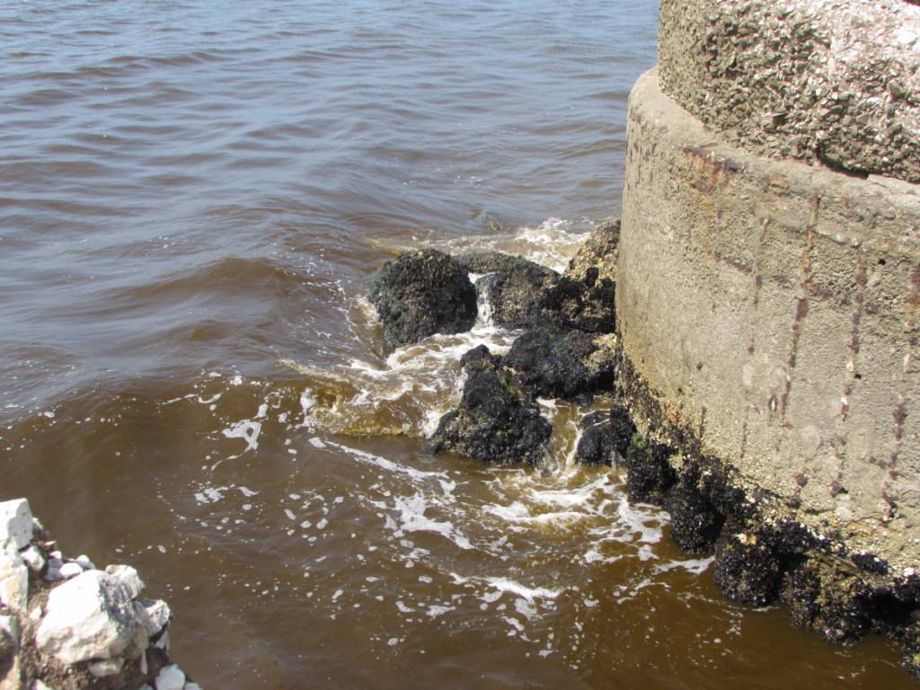 Sabaudia, Canale Caterattino: acque pulite e perfettamente limpide