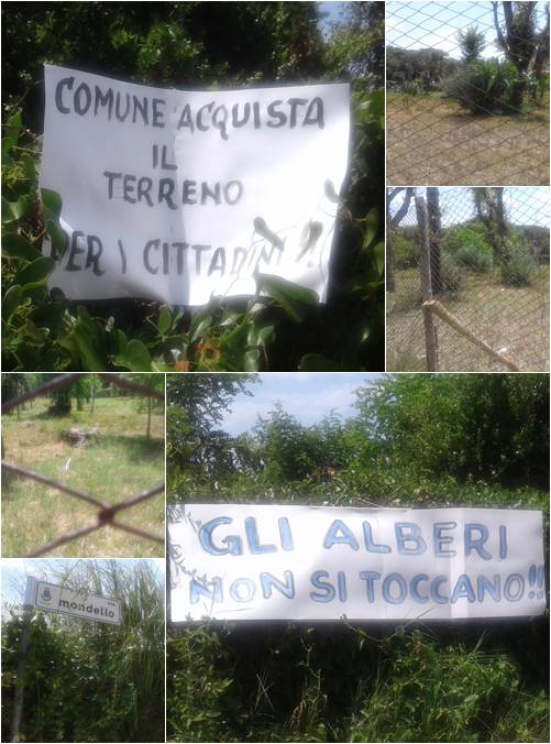 In campo Vivere Fregene, Confcomercio e Comitato cittadino: “No a nuove ville senza una piazza”