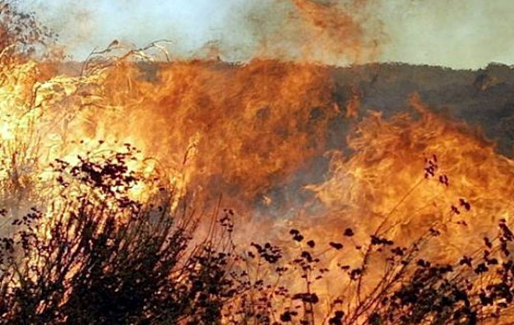 #formia, il Comune aggiorna il catasto incendi boschivi