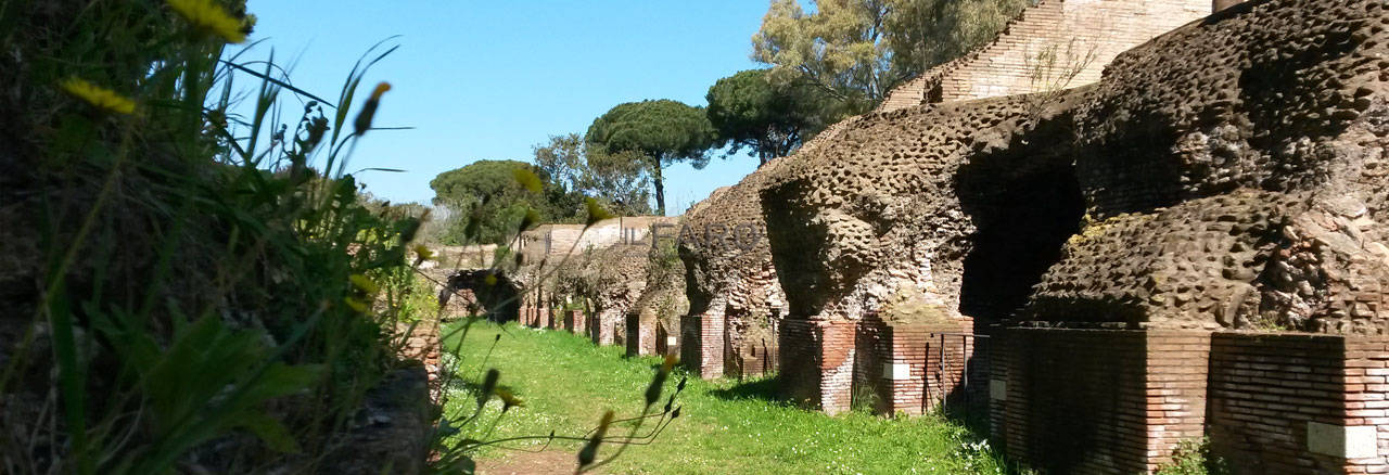 Fiumicino, avvistato un cinghiale nell’area archeologica: chiusi i porti di Claudio e Traiano