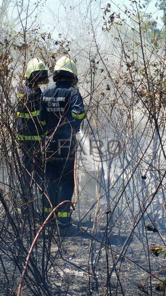 #Fiumicino, cento incendi in un mese, e l’estate è appena iniziata