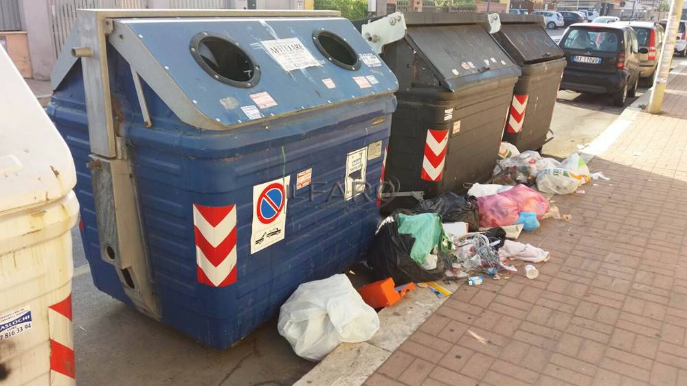 #fiumicino, ratti come gatti tra i rifiuti