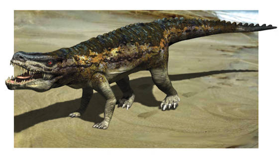 Trovati gli antenati dei dinosauri, vecchi di 230 milioni di anni