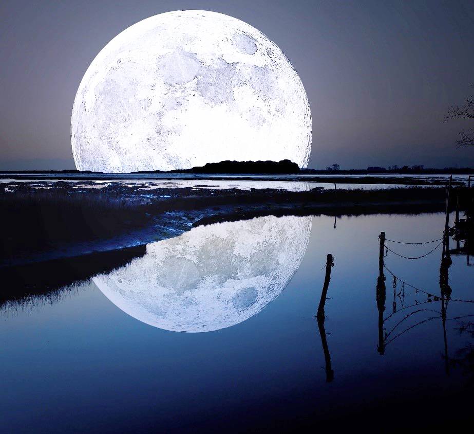 Notte della luna a #fiumicino. L’8 ottobre una serata dedicata all’astronomia