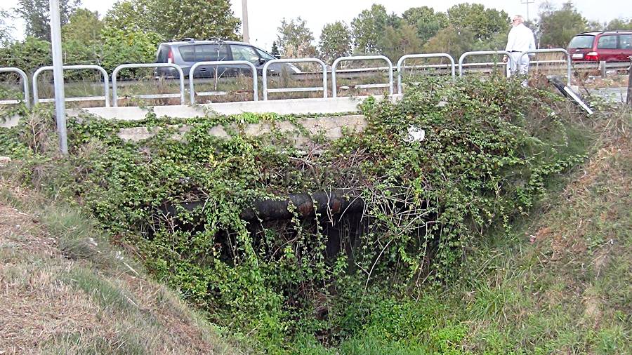 #fiumicino, piante infestanti nei canali di bonifica