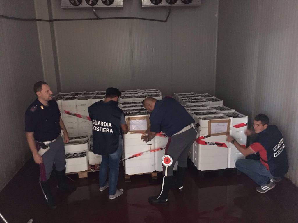 #civitavecchia, la Polizia di Stato e la Guardia Costiera sequestrano un carico di oltre 2 tonnellate di pesce