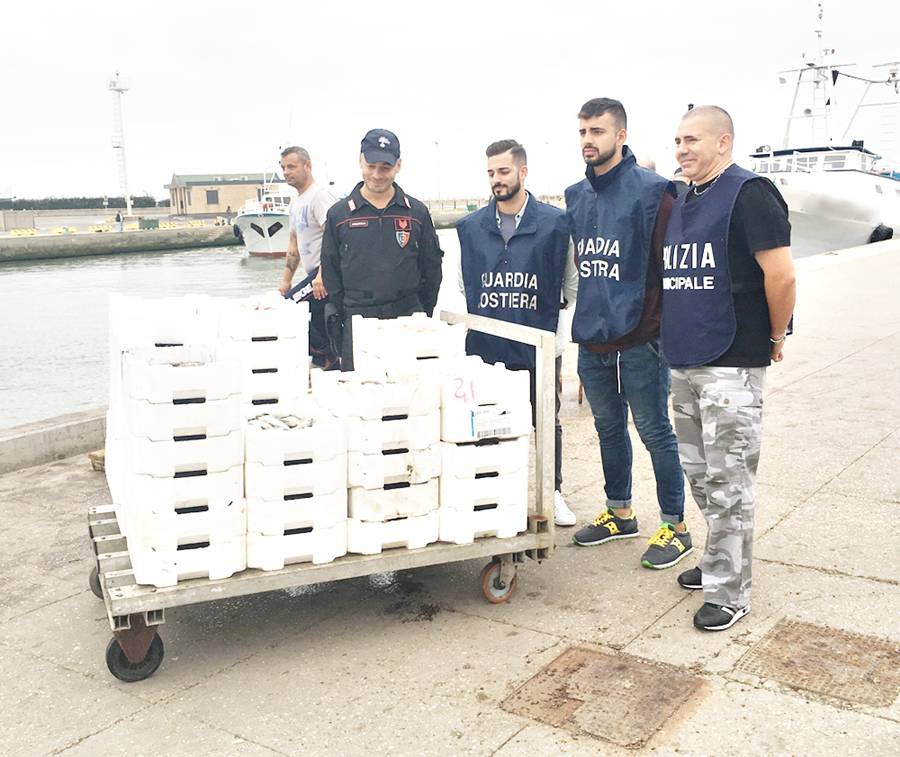 Pesce, vendita abusiva sul molo di #fiumicino: sequestrati duecento chilogrammi di prodotti non tracciabili