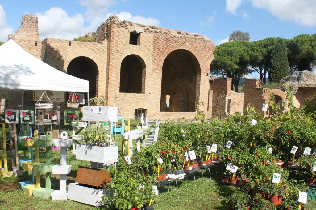 #civitavecchia, grande successo per “Terme in fiore”