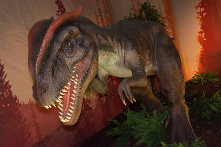 #Fiumicino, Dinosaur Show “live experience”