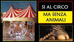 #ladispoli, i tempi sono maturi per una presa di coscienza sullo sfruttamento degli animali al circo