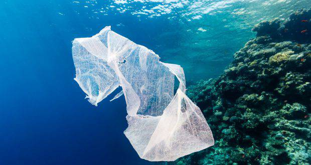 Appello di Legambiente, al bando le buste di plastica nel Mediterraneo