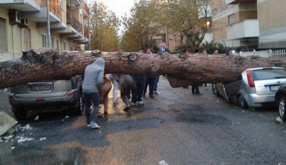 #Ladispoli, comunicazione danni per tromba d’aria, istruzioni per l’uso