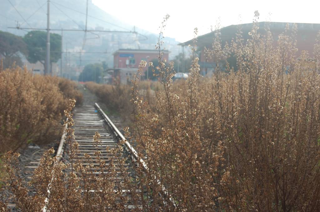 #Terracina, stazione ferroviaria: binario triste e solitario