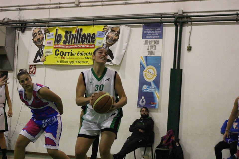 bull basket latina