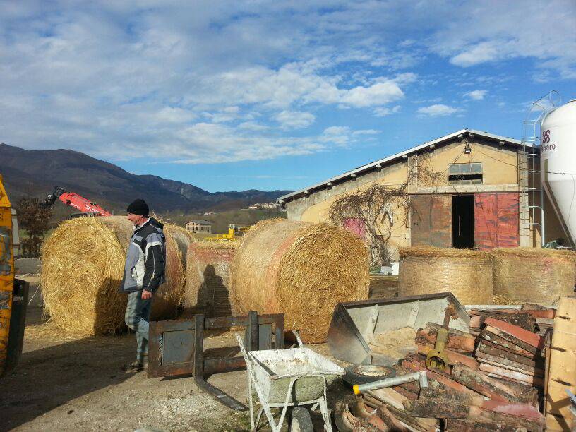 #Cerveteri: solidarietà e aiuti per la popolazione di Amatrice