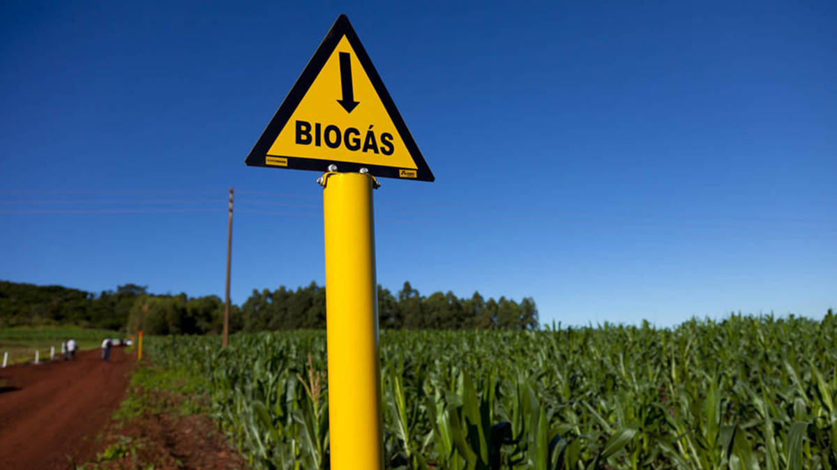 Biogas a Santa Palomba, #Pomezia continua a dire No