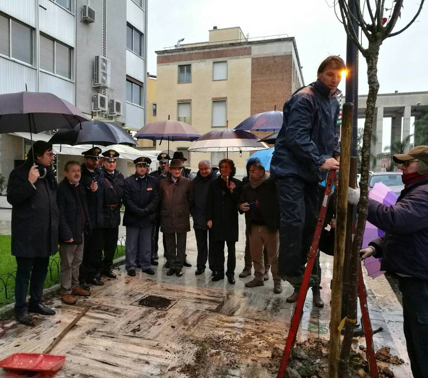 Piantati a #Latina gli alberi per la legalità e il lavoro