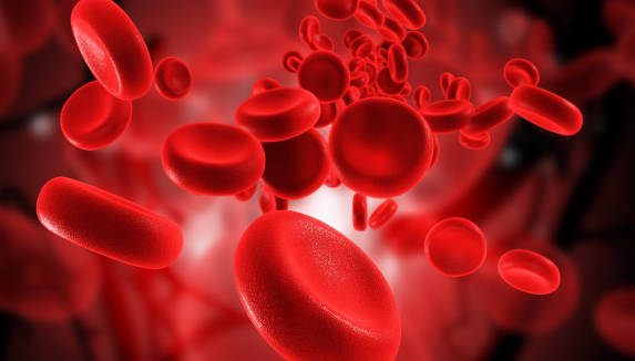 Le cellule del sangue possono essere un’arma anti-cancro