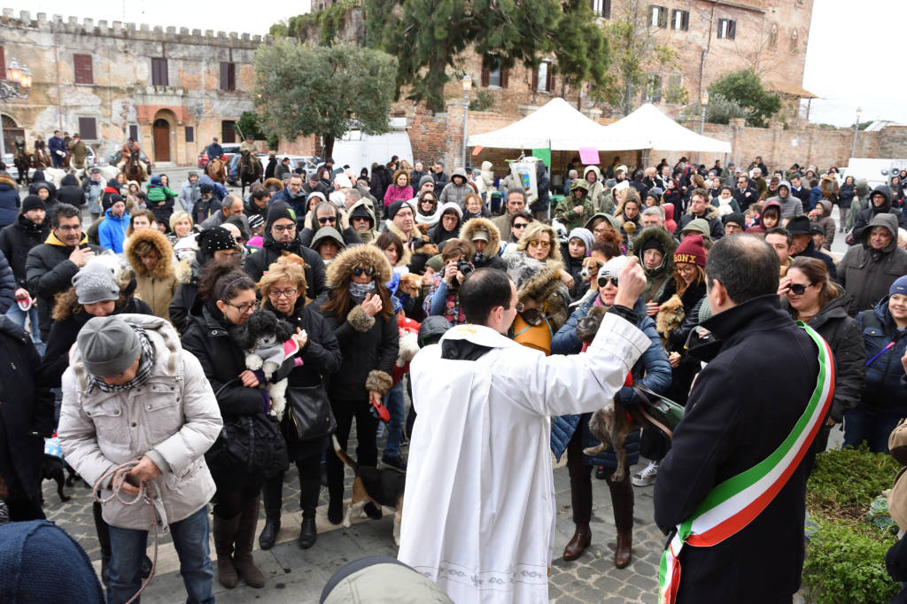 #Montalto: i festeggiamenti in onore di Sant’Antonio Abate