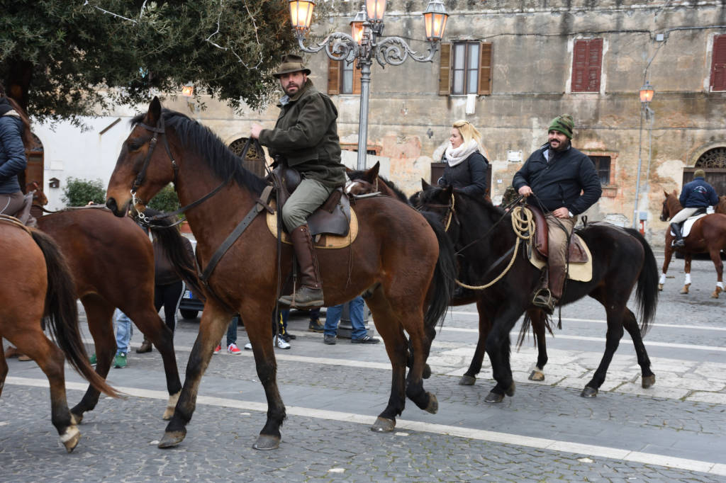 #Montalto: i festeggiamenti in onore di Sant’Antonio Abate