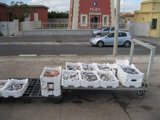 Tre sequestri di pesce non tracciabile venduto abusivamente a #Fiumicino