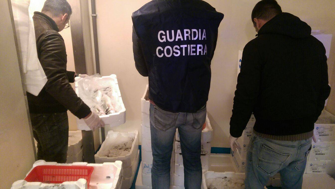 Tre sequestri di pesce non tracciabile venduto abusivamente a #Fiumicino