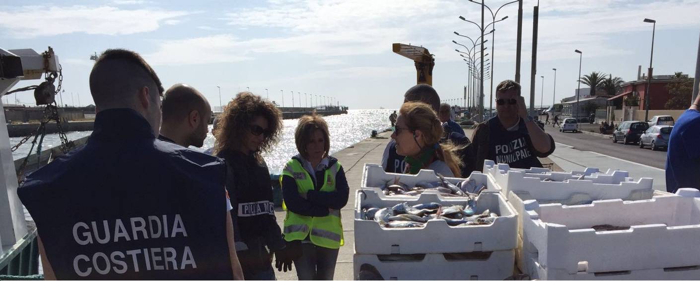 Tre sequestri di pesce non tracciabile venduto abusivamente a #Fiumicino