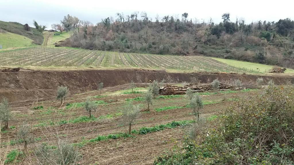 #Cerveteri, altri lavori di messa in sicurezza dei fossi