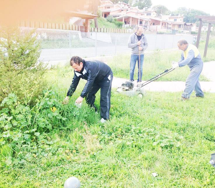 #Gaeta, continua la bonifica del verde pubblico