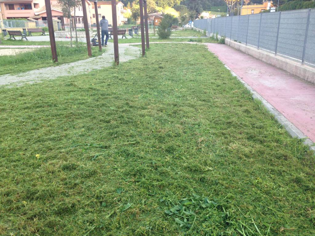 #Fiumicino, Crescere Insieme: “L’esempio di via Scagliosi potrebbe sbloccare l’iter dell’adozione di aree verdi da parte di associazioni e cittadini”