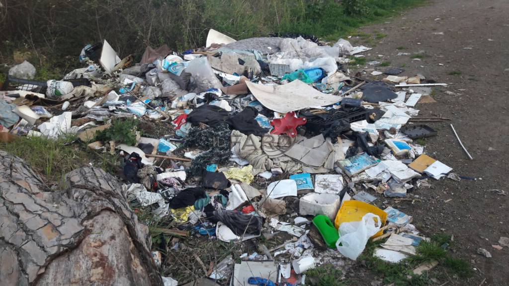 Ostia, discariche nella pineta delle Acque Rosse, De Donno ‘necessaria bonifica urgente’