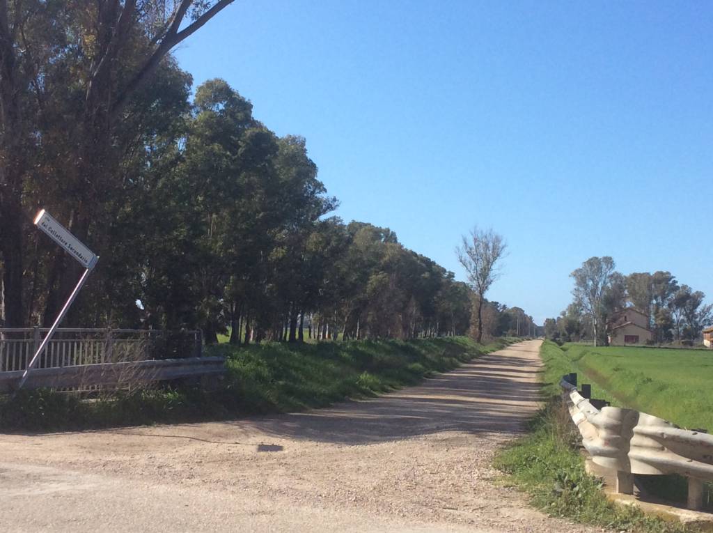 Manutenzione stradale a #Ostia, Pd: “Direttive poco chiare in merito alle strade rurali interne alla Riserva”