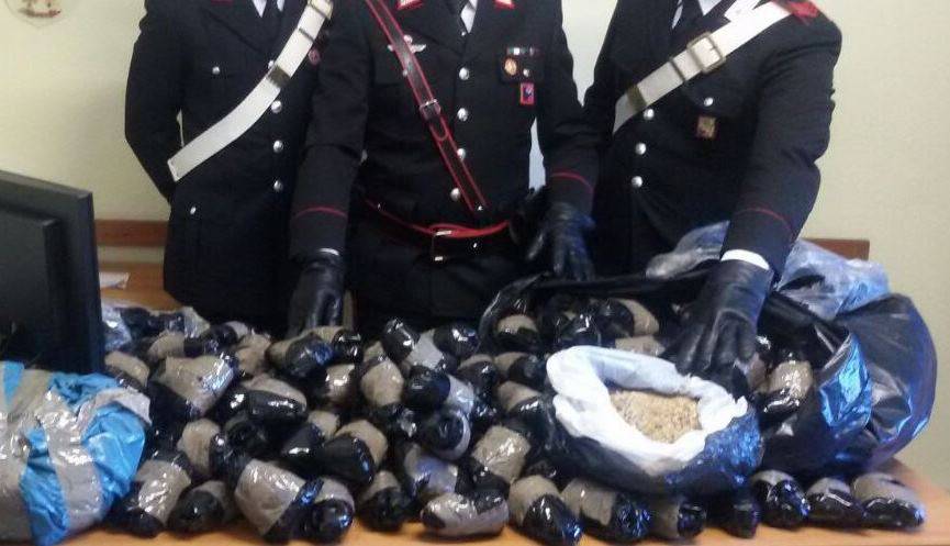 #Anzio e #Ardea, maxi operazione antidroga dei Carabinieri