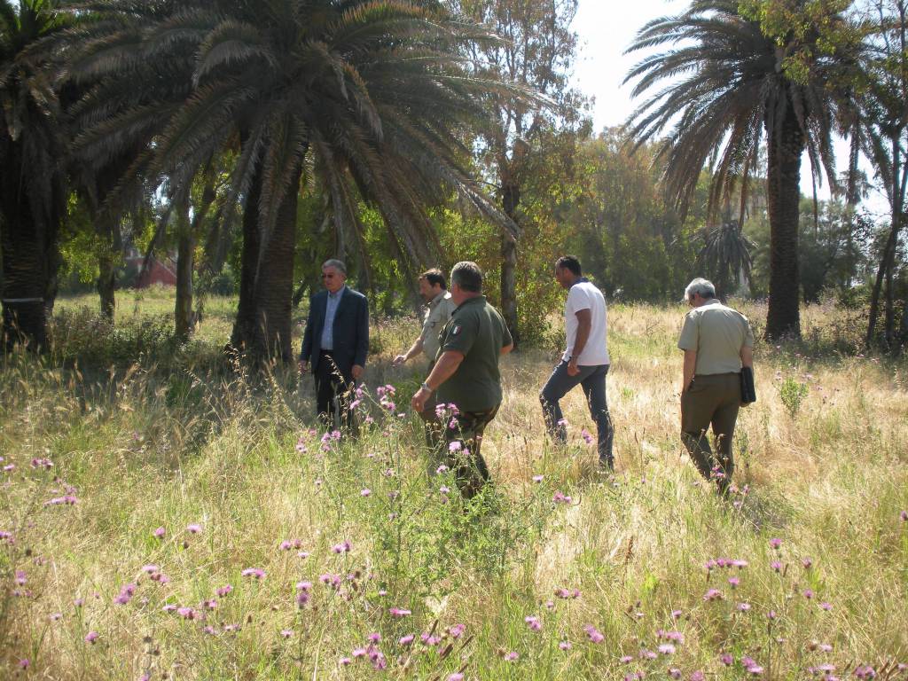 Prende corpo il progetto ‘#Anzio Central Park’