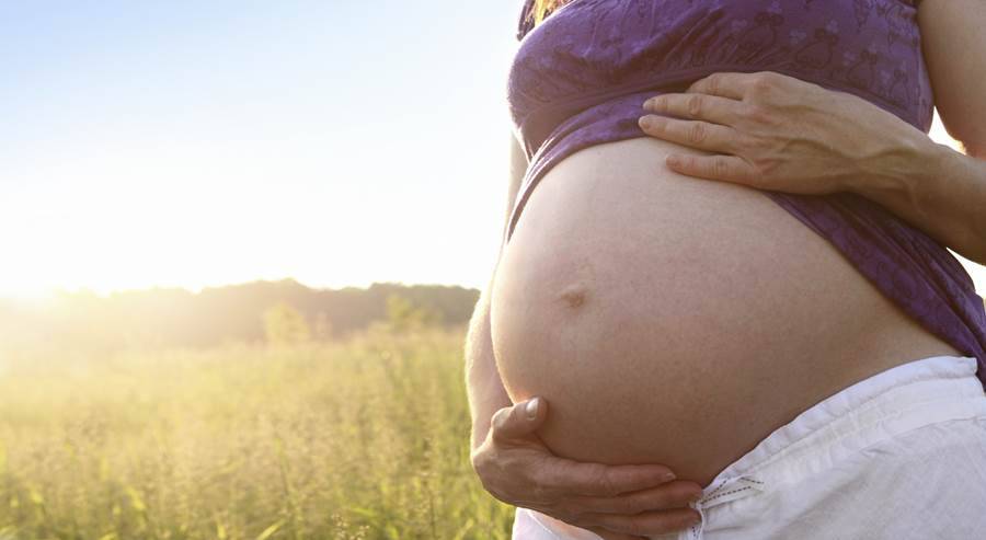 Qual è il legame fra alimentazione, gravidanza e cellule staminali?