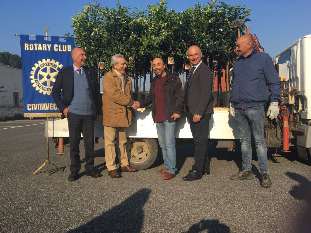 #Civitavecchia, 60 piante donate dal Rotary Club in occasione del 60° anniversario del circolo