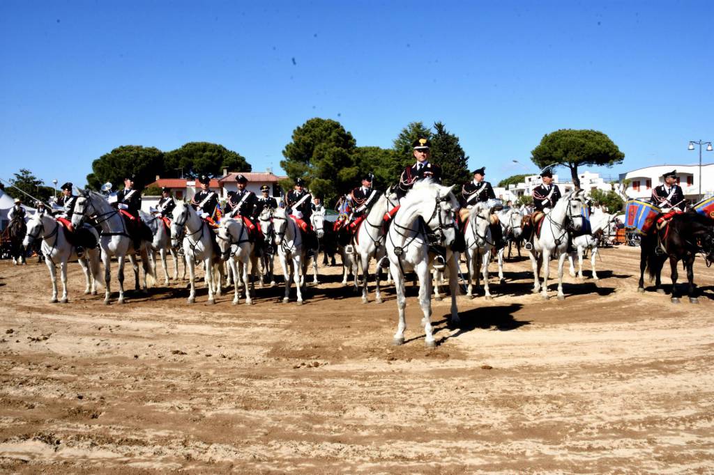 maremma d'amare