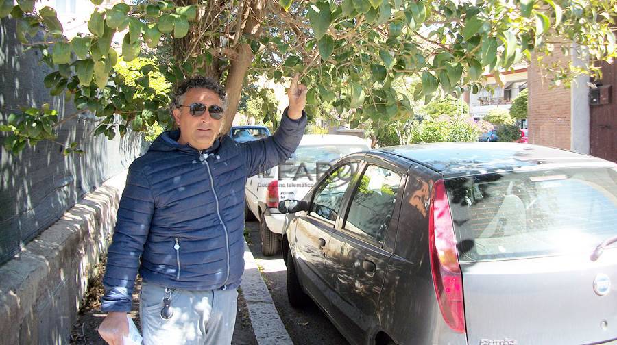 #Fiumicino: ramo pericolante, rischia di perdere un occhio
