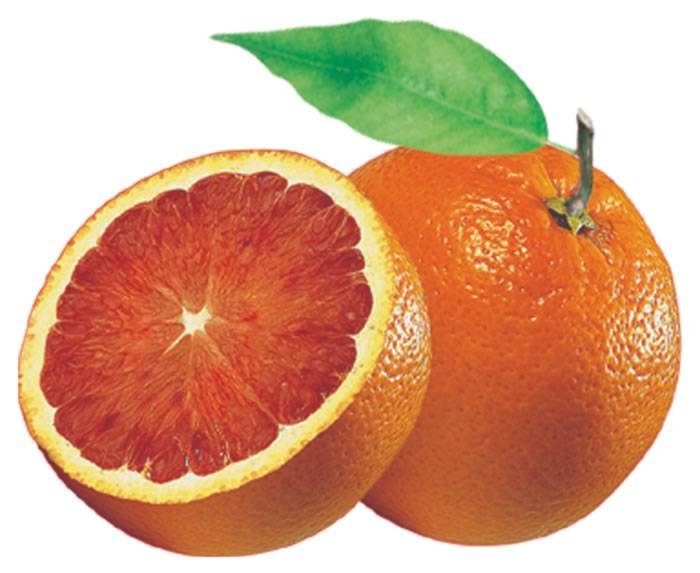A #Fondi la ‘Rievocazione della raccolta delle arance’