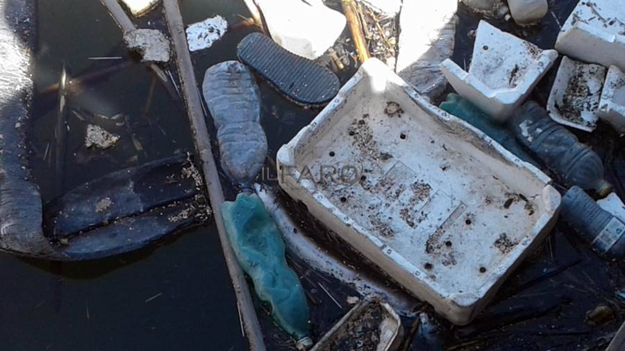 Rifiuti nella Darsena di #Fiumicino, parte un progetto sperimentale di pulizia