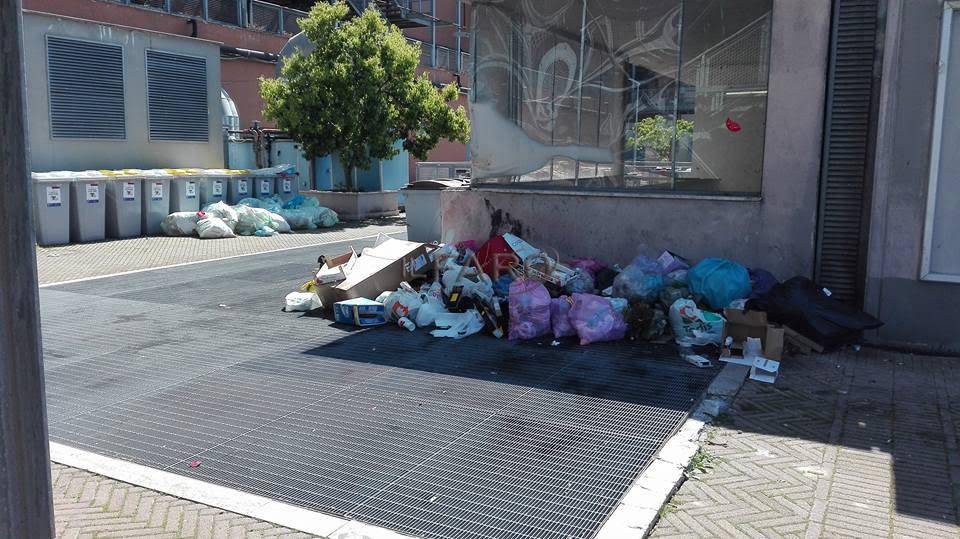 #Fiumicino Parco Leonardo, proliferano le mini discariche, chiesto più controllo