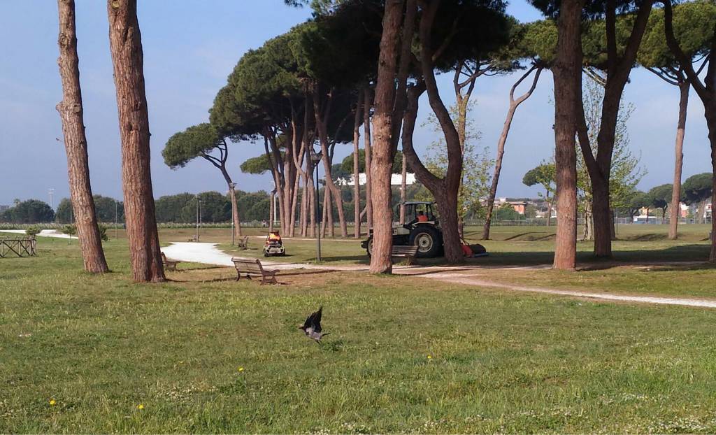#Fiumicino, pulizie di primavera anche per Villa Guglielmi