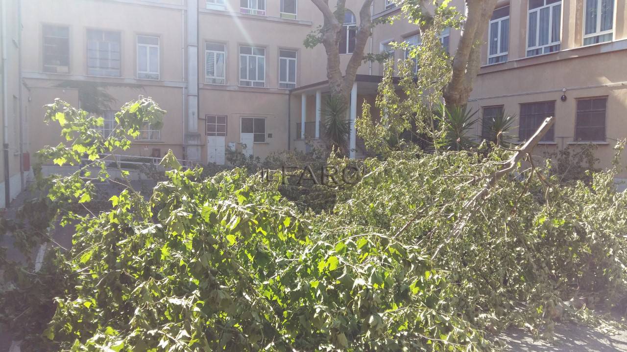 #Fiumicino, le potature invadono il cortile della scuola