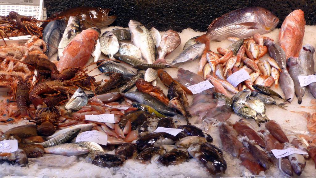 Civitavecchia, compra 2500 euro di pesce con assegni a vuoto: arrestato per truffa