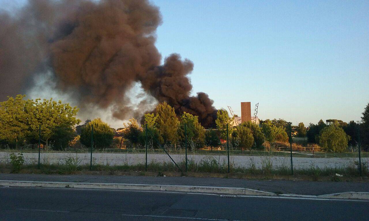 #Acilia, incendio doloso al Parco della Madonnetta, Sinistra Italiana ‘Dopo le promesse elettorali, questa è la situazione’