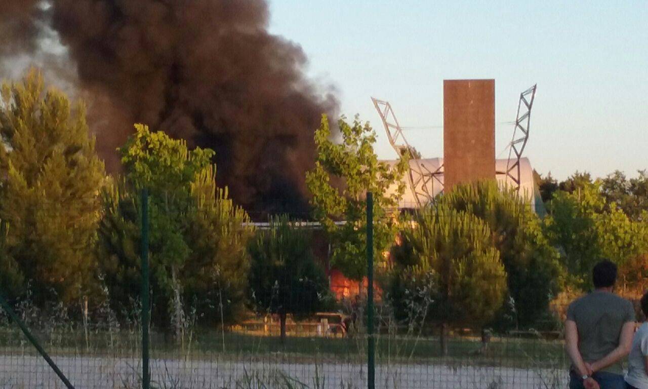 #Acilia, incendio doloso al Parco della Madonnetta, Sinistra Italiana ‘Dopo le promesse elettorali, questa è la situazione’